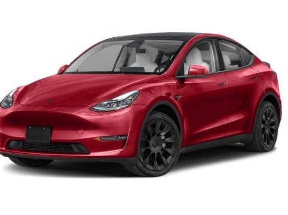 TESLA MODEL Y 2024 7SAYGAEE9RF016384 image